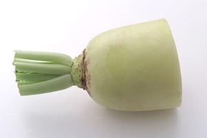 東京ドームで楽しむシェイクシャックの魅力