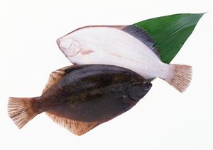 【最新情報】[店舗名]の魅力とサービス詳細を徹底解説