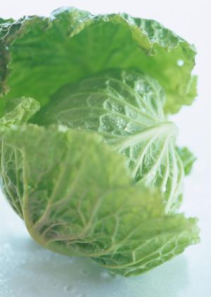 忙しいママ必見！ネット宅配で手軽に栄養満点の食品を手に入れる方法