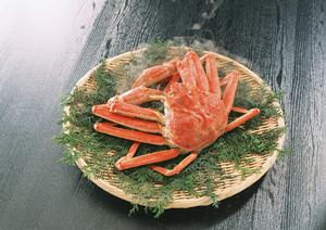 渋谷の絶品焼肉店徹底ガイド2025：おすすめスポットと選び方のポイント