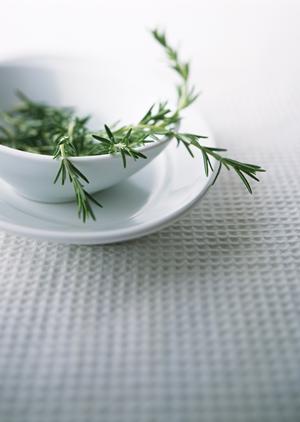 スカルペッタ東京 – ニューヨークスタイルのイタリアンレストラン