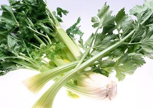 餃子ならばマルシン飯店がお勧めです